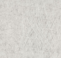 Линолеум Forbo Eternal Material 13772 brushed aluminium фото 1 | FLOORDEALER